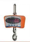 2. DIGITAL - HANGING SCALES 2 - Capacity 300 Kg x 010 gm